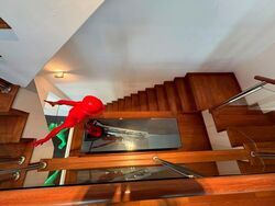 Seletar Hills Estate (D28), Terrace #587971821